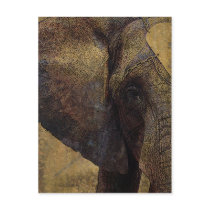 Grunge Parchment Majestic African Elephant Postcards