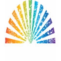 Grunge Rainbow t-shirts