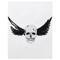 Grunge Skull with wings flyers by BurchellDesign Grunge Skull with wings flyers