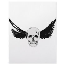 Grunge Skull with wings letterhead