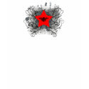 Grunge Star t-shirts