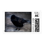 Grungy Raven; No Text Stamps