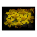 Grungy Yellow Wildflowers Greeting Card