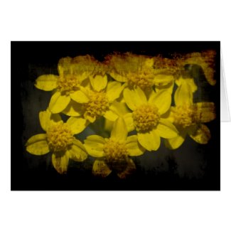 Grungy Yellow Wildflowers Valentine's Card