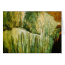Grutas de la Estrella Cav... Grutas de la Estrella Cav...