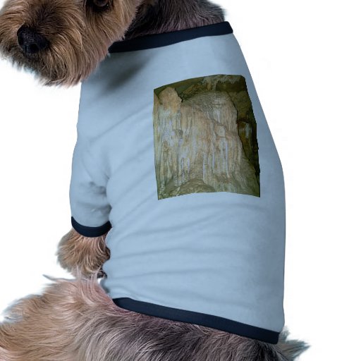 Grutas de la Estrella Cave Formation PICT0158A Pet Tshirt