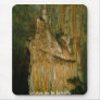 Grutas de la Estrella Mousepad