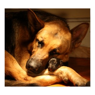 GSD Love print