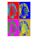 GSP PopArt posters