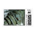GTP yearling postage
