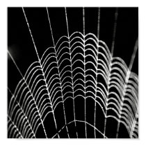 Gtran Posters posters by testuser5 Gtran Posters posters