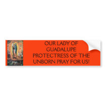 guadalupe, OUR LADY OF GUADALUPE PROTECTRESS OF... bumper stickers