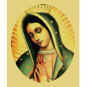 Guadalupe Prayer t-shirts