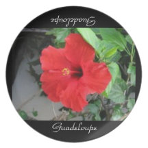 GUADELOUPE DINNER PLATES
