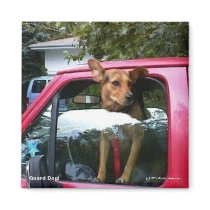 Guard Dog! magnets by skywatcher Guard Dog! magnets