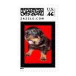 Guard Duty Stamps
