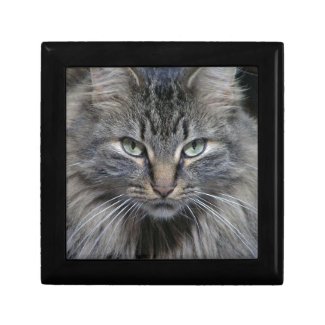Guarded Maine Coon Kitty Cat Jewelry Boxes