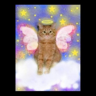 Guardian Angel of Cats Print