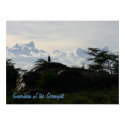 Guardian of the Serengeti - Poster posters by dchaddad Guardian of the Serengeti - Poster posters