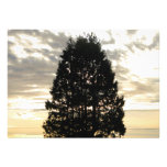 Guardian Tree Personalized Announcements