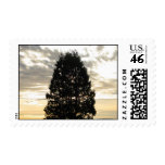 Guardian Tree Postage Stamp