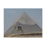 Guarding the pyramids postcard