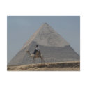 Guarding the pyramids postcards