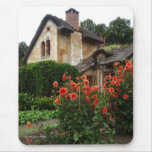 Guard's House Versailles Mousepad