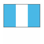 Guatemala Flag + Map Spaghetti Top