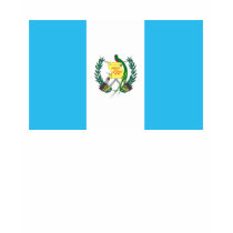 Guatemala Flag T-shirt