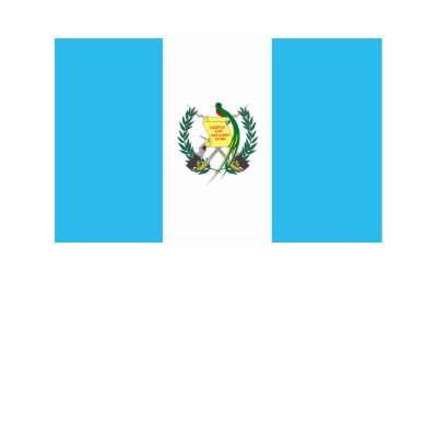 Flag of Nations : Guatemala Flag T Shirt