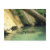 guatemala, rain forest, pond, water, vacation,