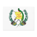 Guatemalan Coat of Arms Postcard