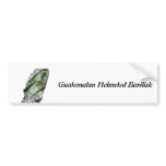 Guatemalan Helmeted Basilisk Bumper Stickers