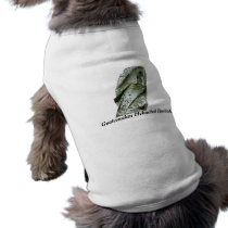 Guatemalan Helmeted Basilisk Doggie Shirt