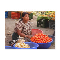 Guatemalan Market Vendor Postcard