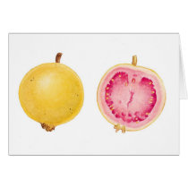 Guava cards