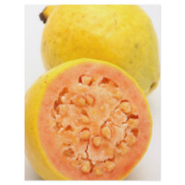 Guava fruits flyer