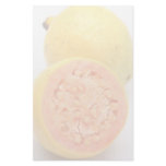 Guava fruits stationery paper