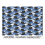 Guerrero Birds