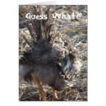 Guess What?  Chicken Butt Card