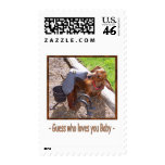 Guess who loves you Baby postage