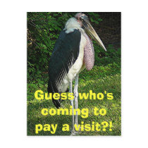 Guess who's coming to pay a visit?! postcards