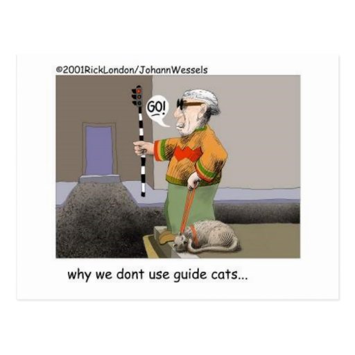 Guide Cats Funny Cat Gifts & Collectibles Postcard