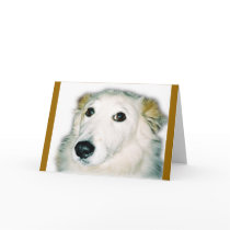 guilty dog cards by schneiter guilty dog cards