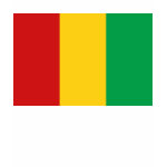 Guinea-Conakry Flag Map Spaghetti Top
