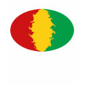 Guinea Conakry Gnarly Flag T-Shirt