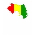 Guinea flag map t-shirts
