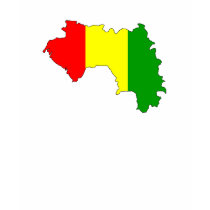 Guinea flag map t-shirts