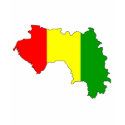 Guinea flag map t-shirts